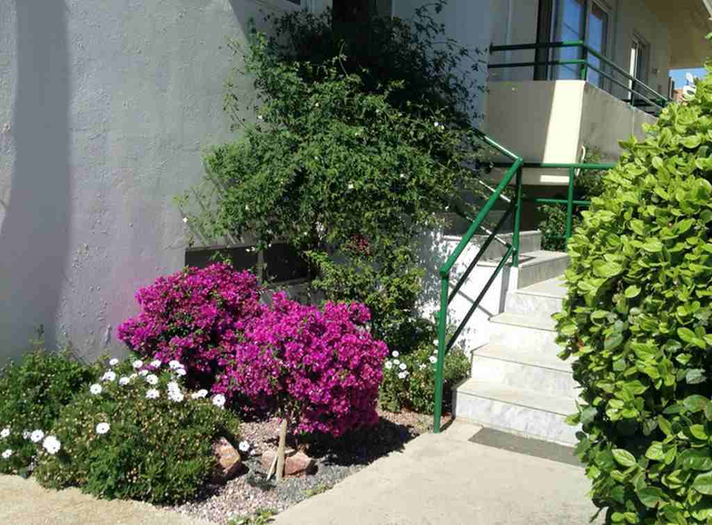 Anita Aparthotel Ialysos (Rhodes) Exterior foto